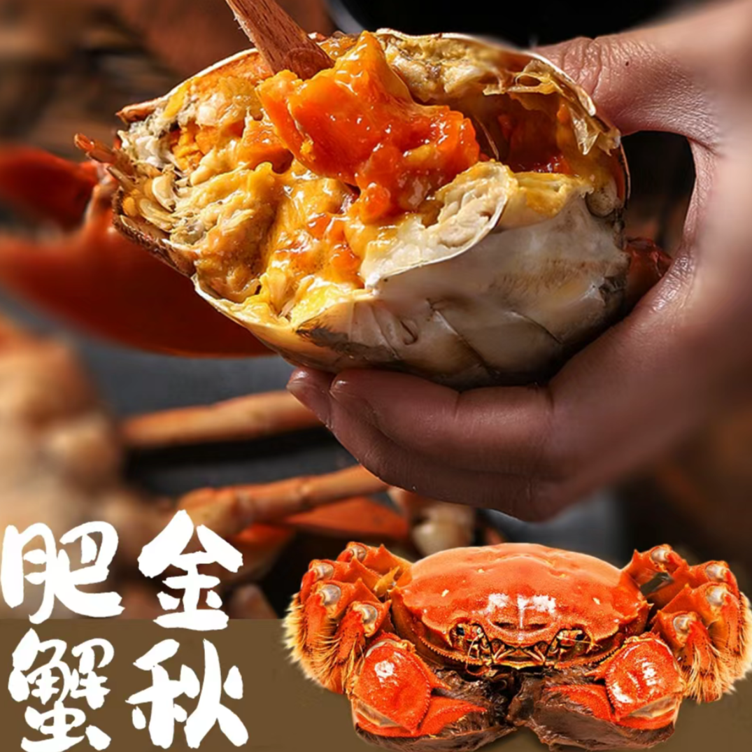 鲜活大闸蟹（单只）（净重不带绳）1