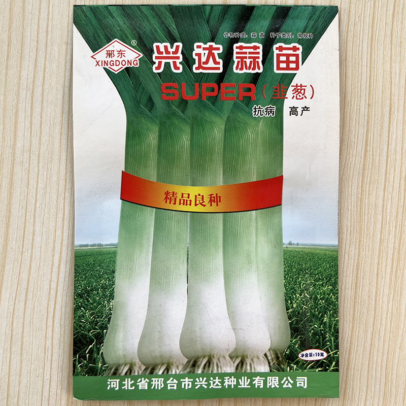 洋葱蒜苗韭葱种籽洋蒜苗海蒜青蒜种子微辣庭院阳台春四季蔬菜包邮