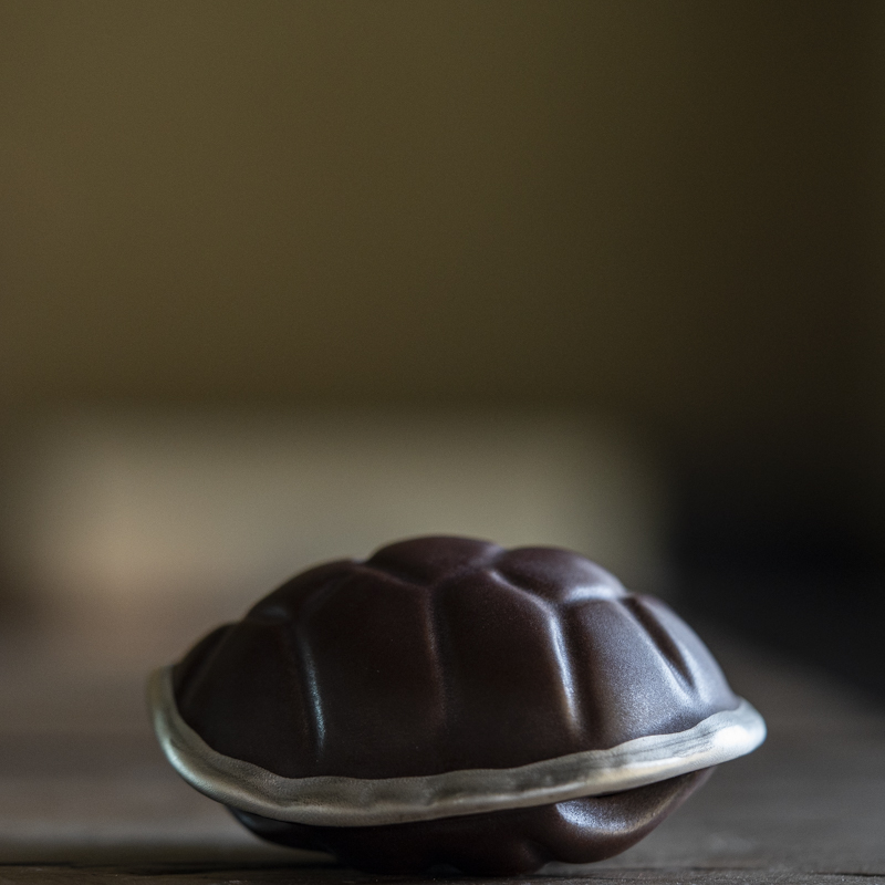 斋居 银富甲-洞尚造物-茶宠（Q0903）