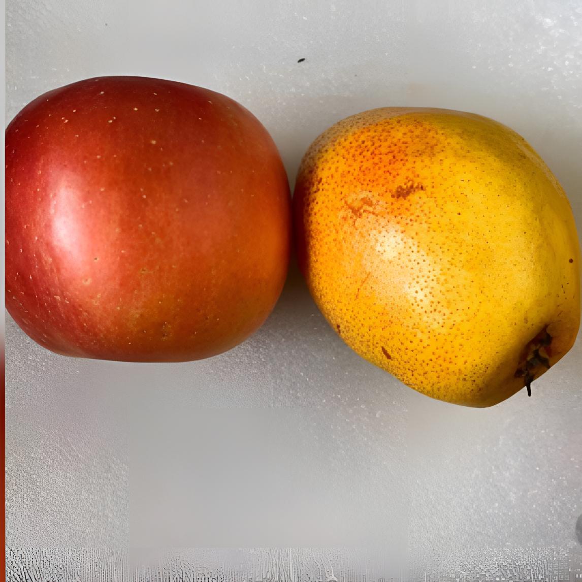 青山岭大苹果和红香酥梨组合10