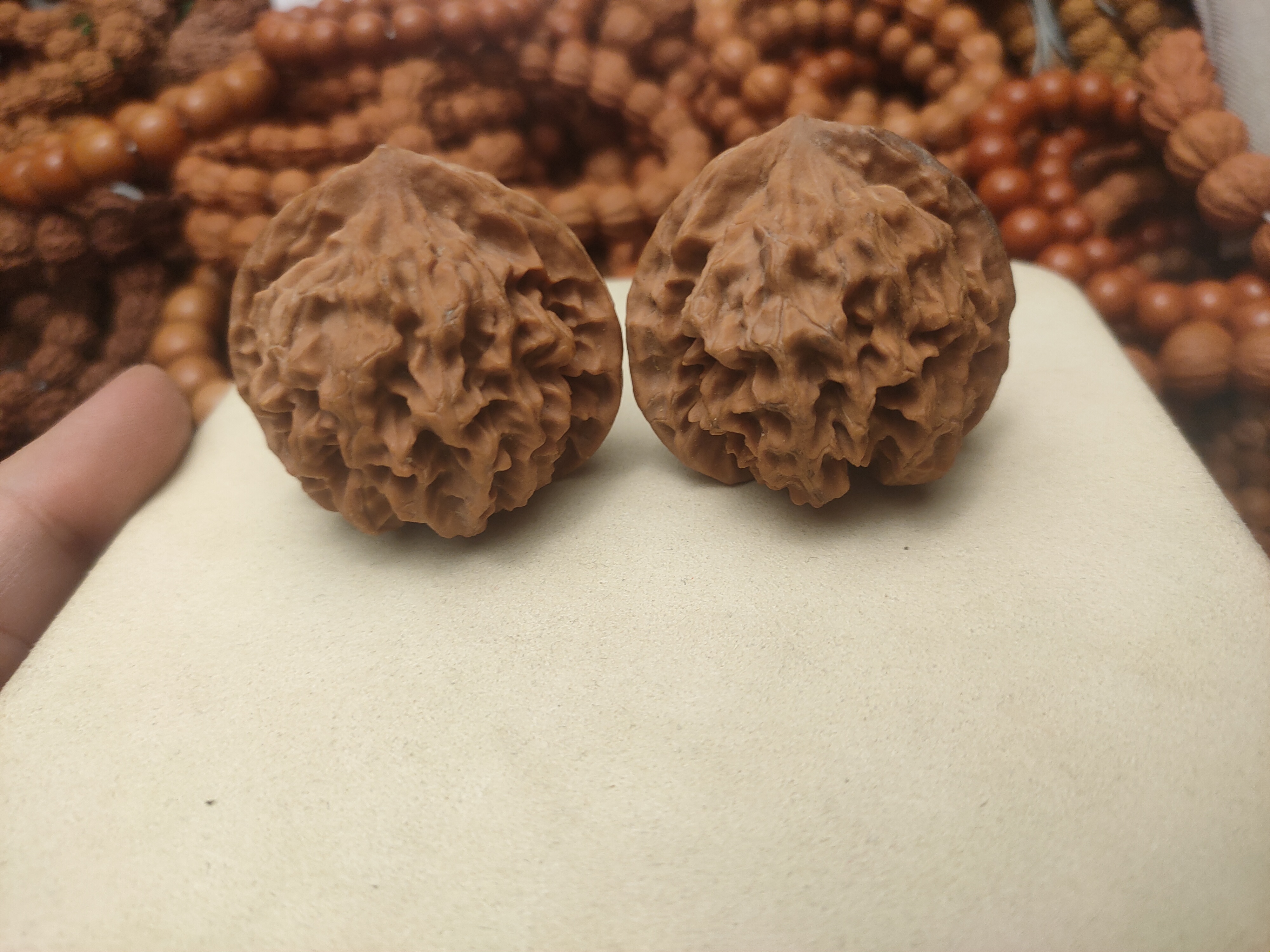 原生态无修满天星大核桃45-48mm左右精品文玩核桃