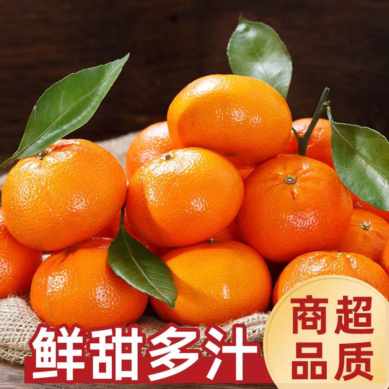 沙糖桔