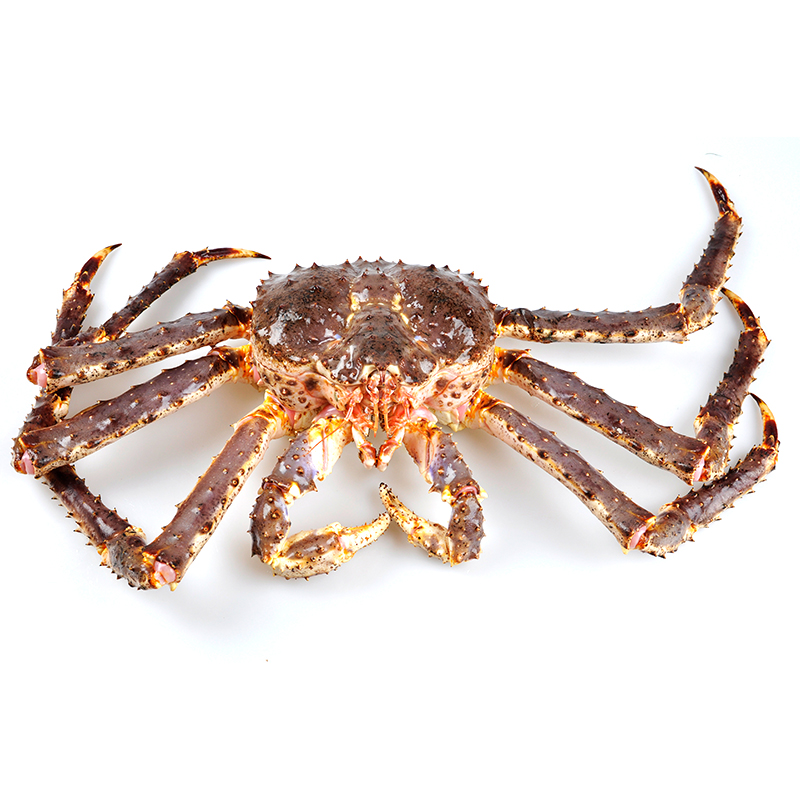 按只卖 闪送包活4-10斤帝王蟹鲜活