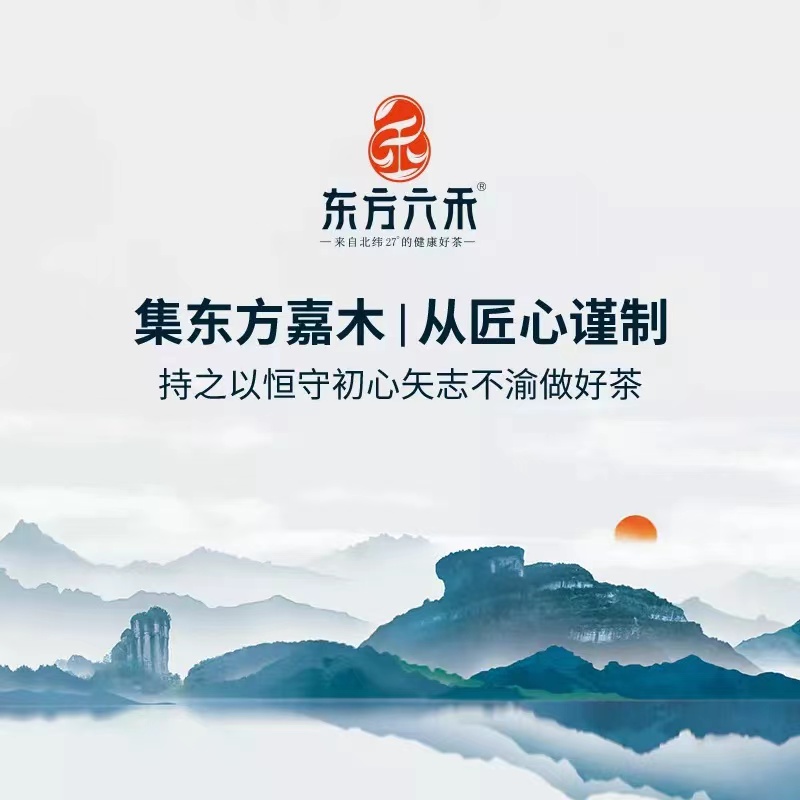 武夷岩茶 改价链接 大红袍 水仙肉桂 浓香型兰花香果香花香