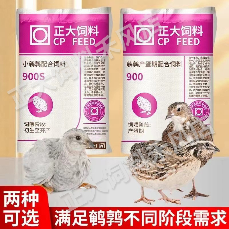  正大900芦丁鸡饲料鹌鹑产蛋专用颗粒料钓鱼打窝下蛋育雏开口料