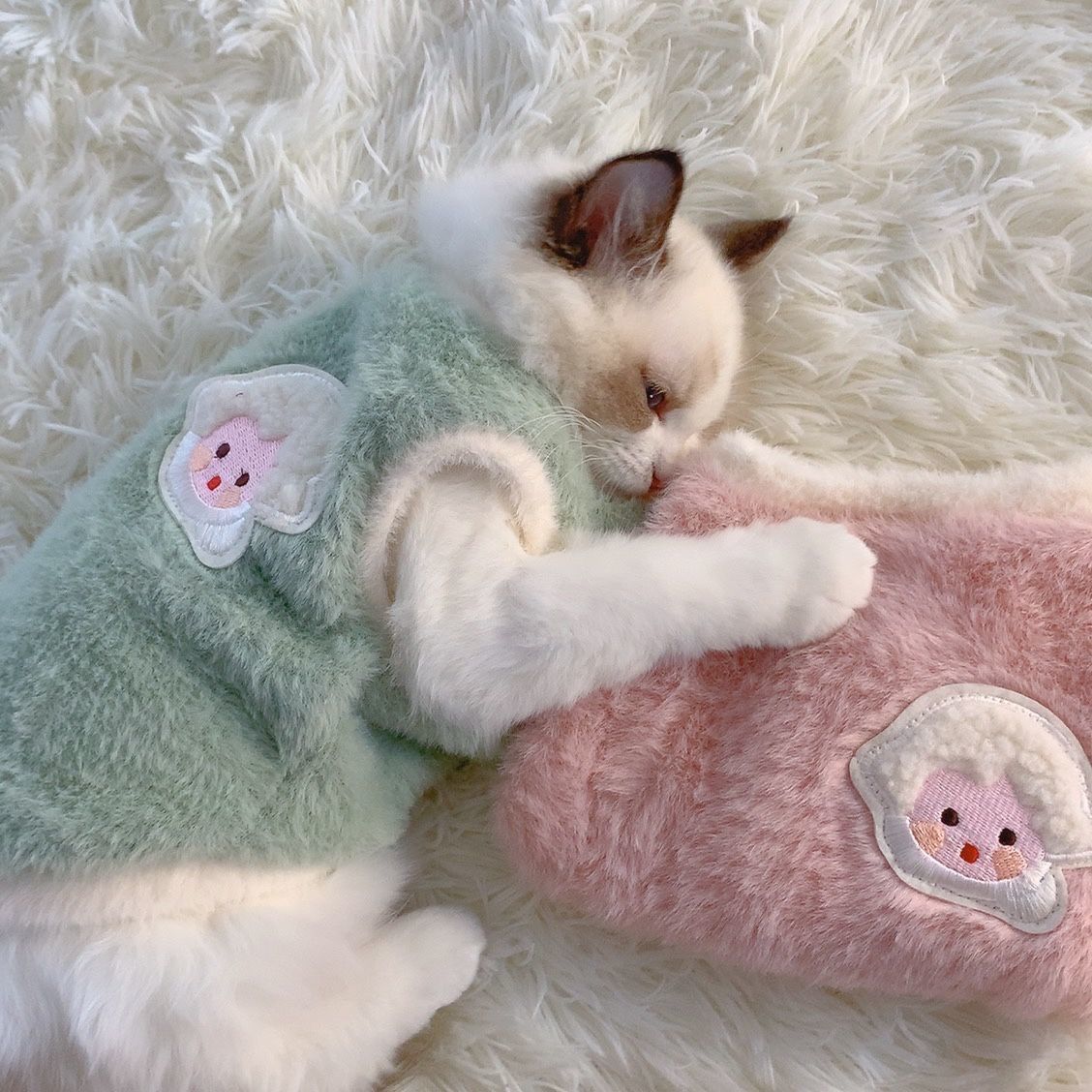 可爱秋冬季猫咪衣服狗狗冬保暖加厚背心防掉毛布偶宠物衣服小型犬