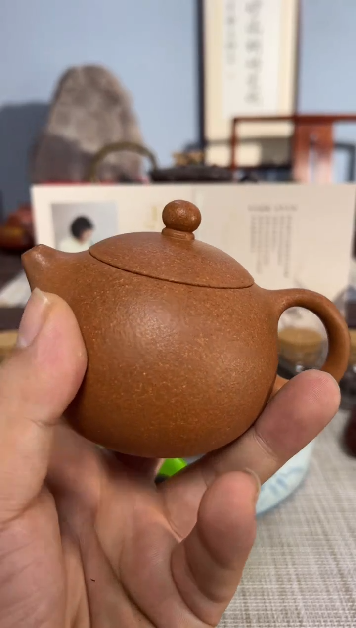 【闪购商品】紫砂茶壶1