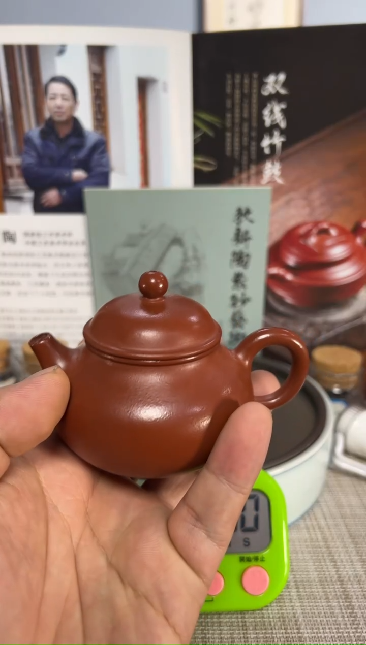 【闪购商品】紫砂茶壶1