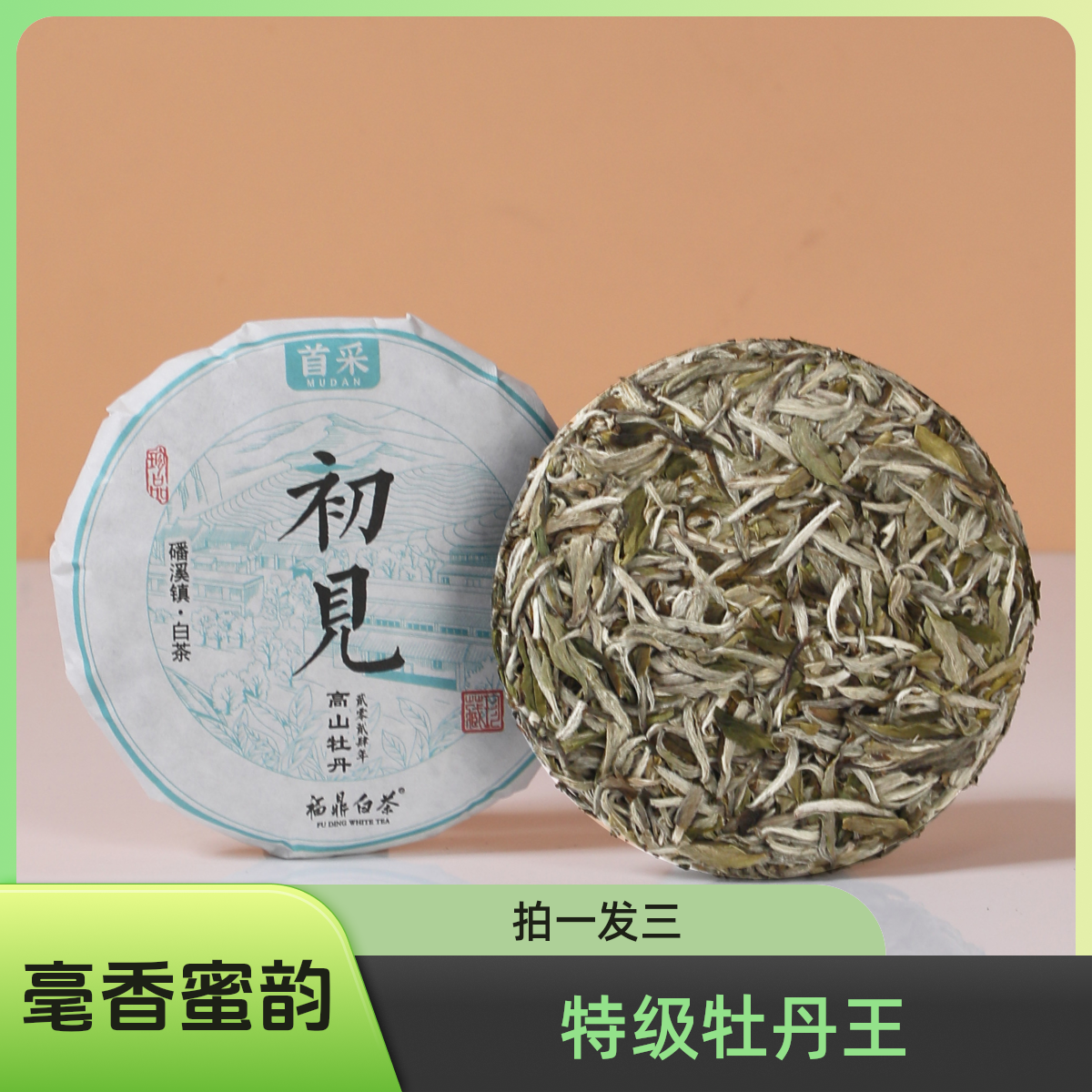 初见2024年特级白牡丹王圆饼紧压茶50g正宗福鼎白茶毫香花香