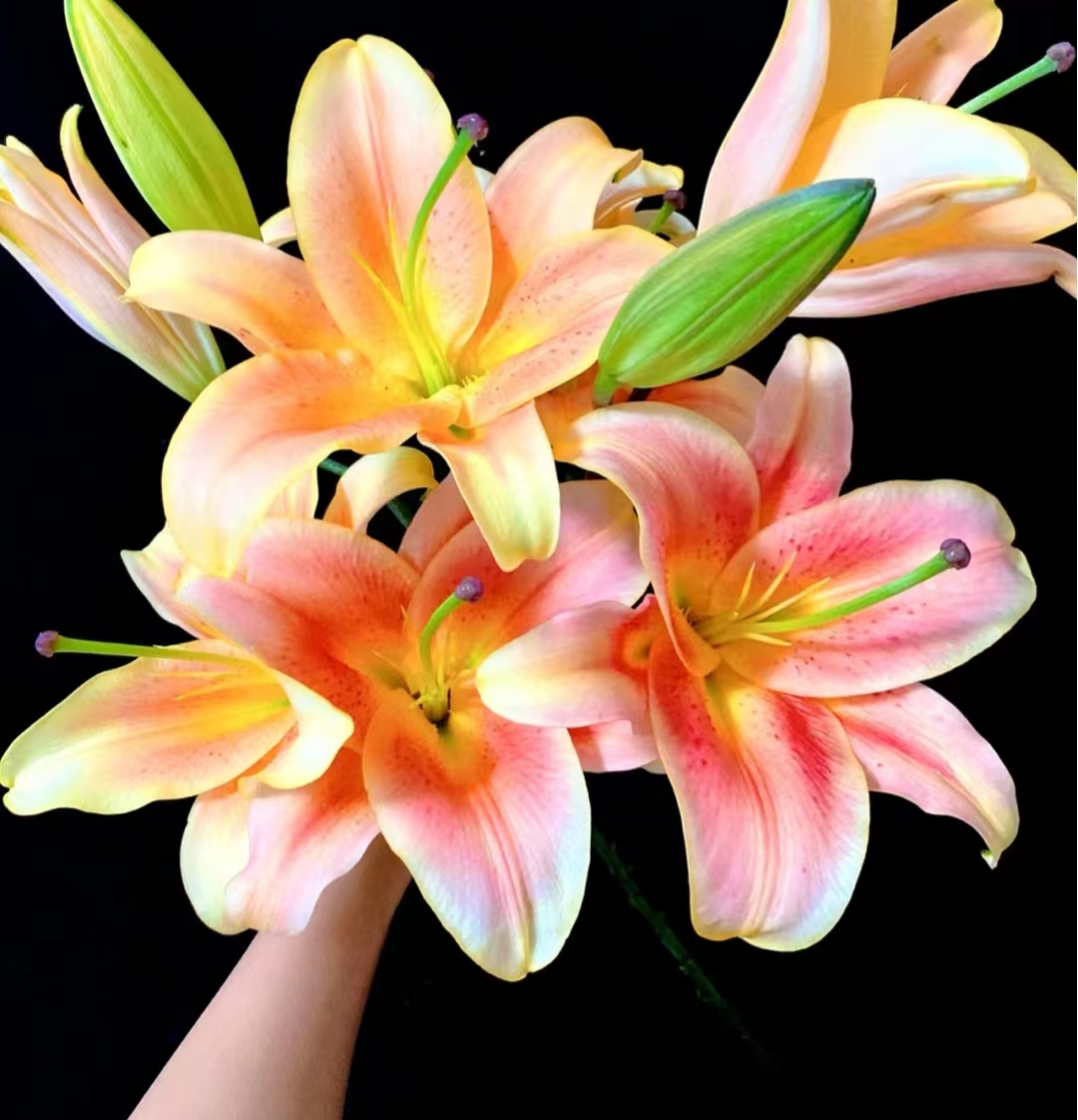 【基地直发】一见钟情 花卉鲜花 （拒收不售后）