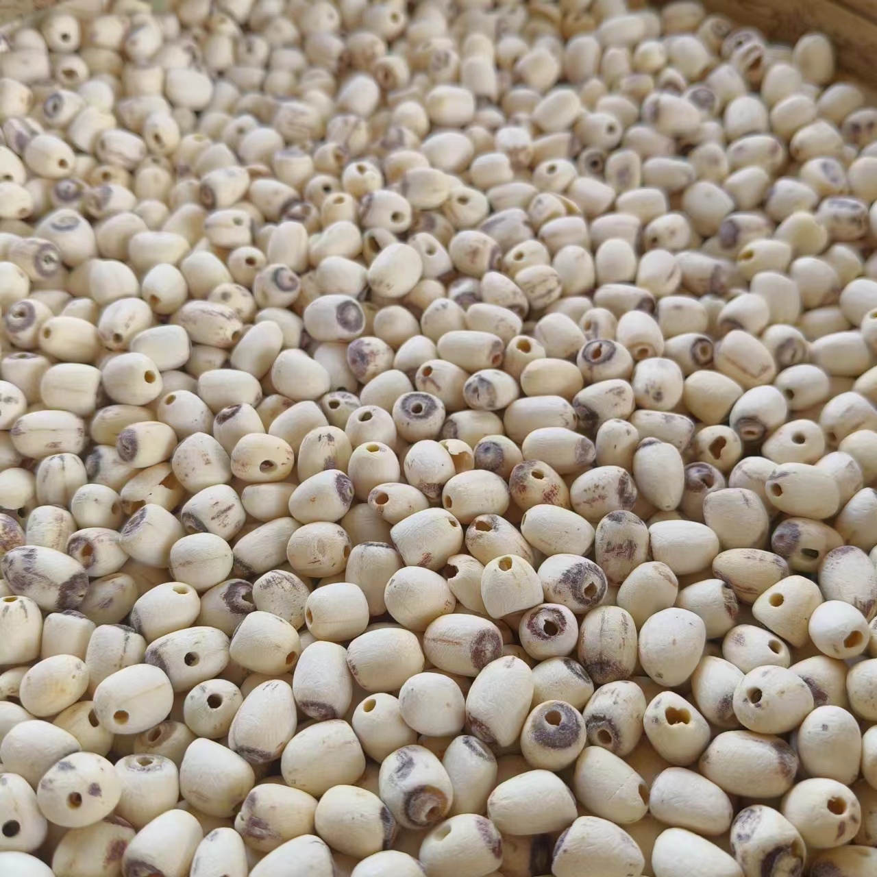 【链子】净重250g-500g