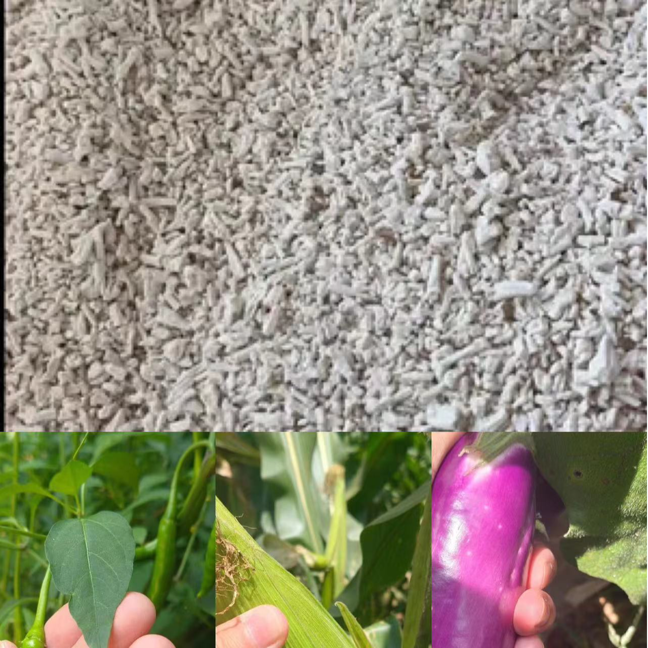 【葛耿】净重-500g