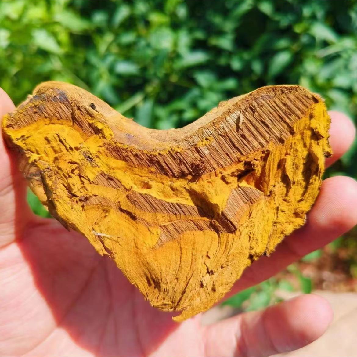 【桑璜】净重100g-250g