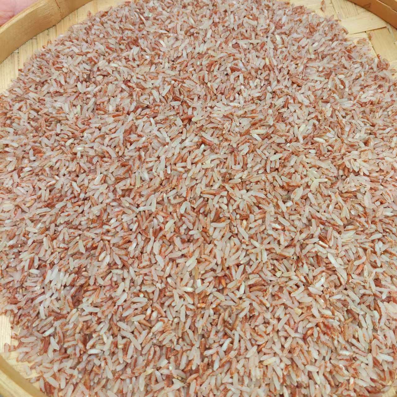 【红米】-净重1500g