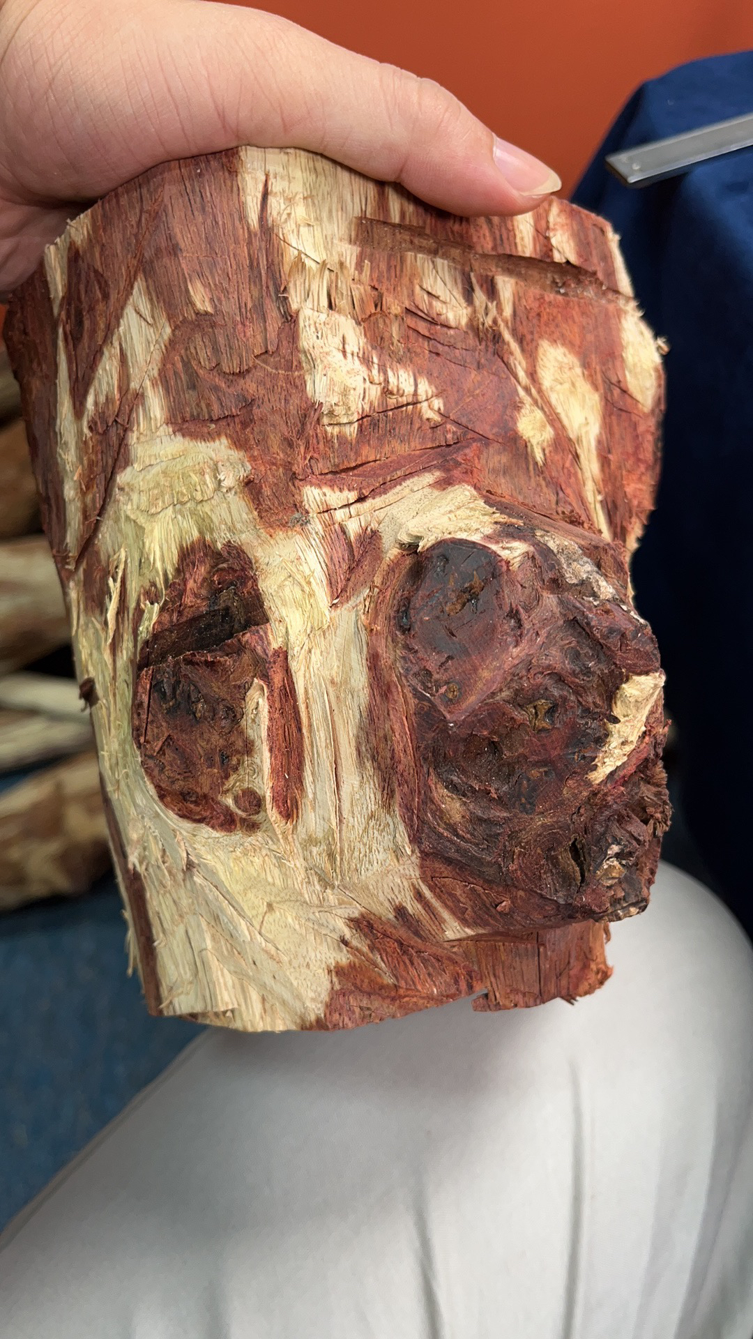 海南黄花梨留疤笔筒料