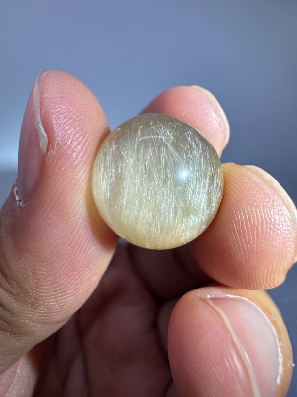 定制款满效应蝴蝶发单珠水晶16.5mm