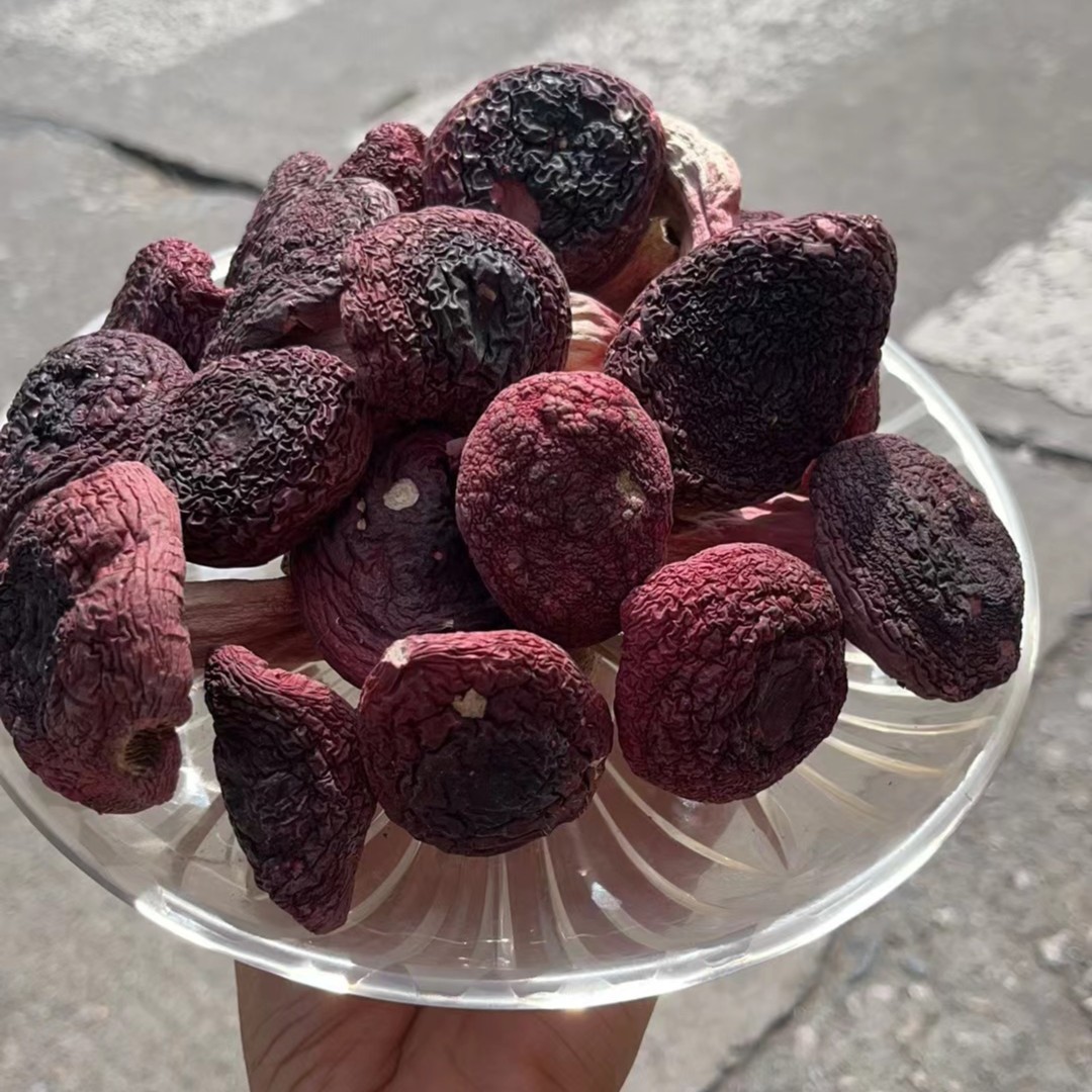 【素素推荐】精品月子菇尝鲜价50g