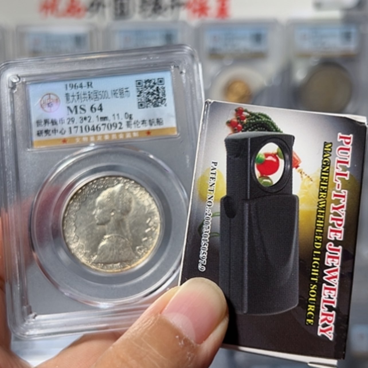 【闪购商品】银币椿银币
