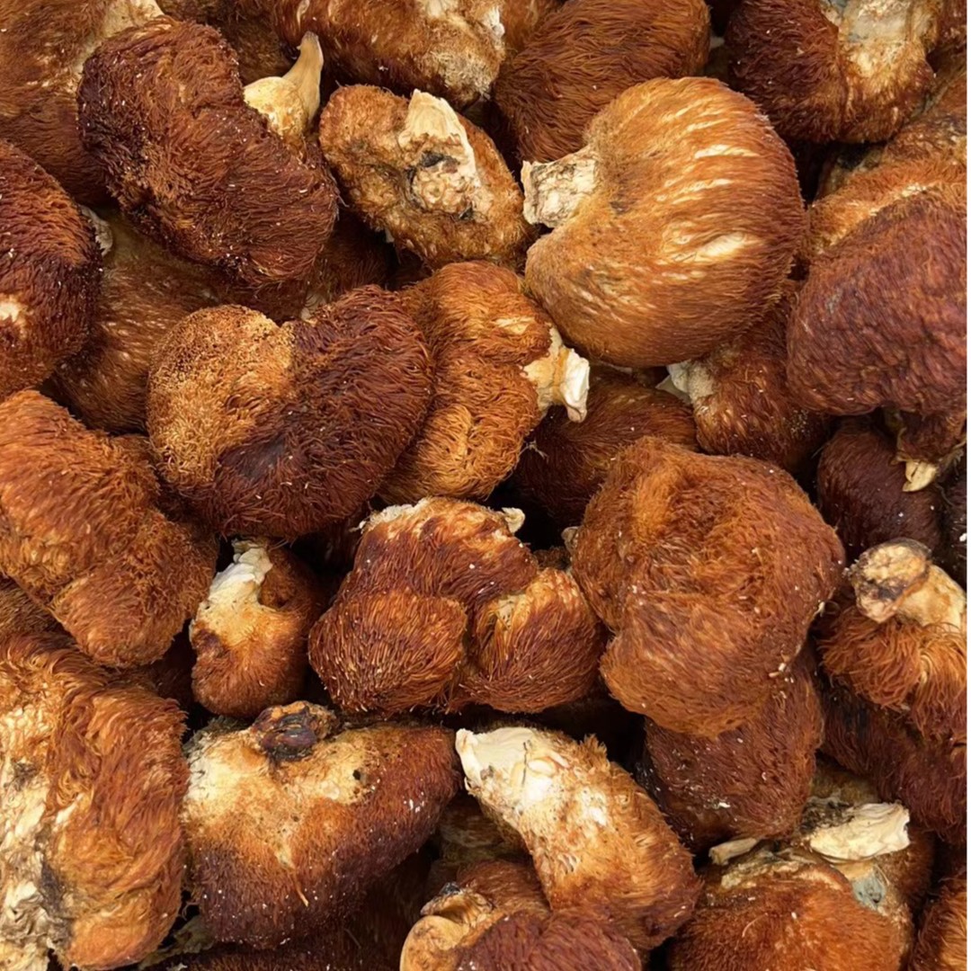 长白山猴头菇250g/500g