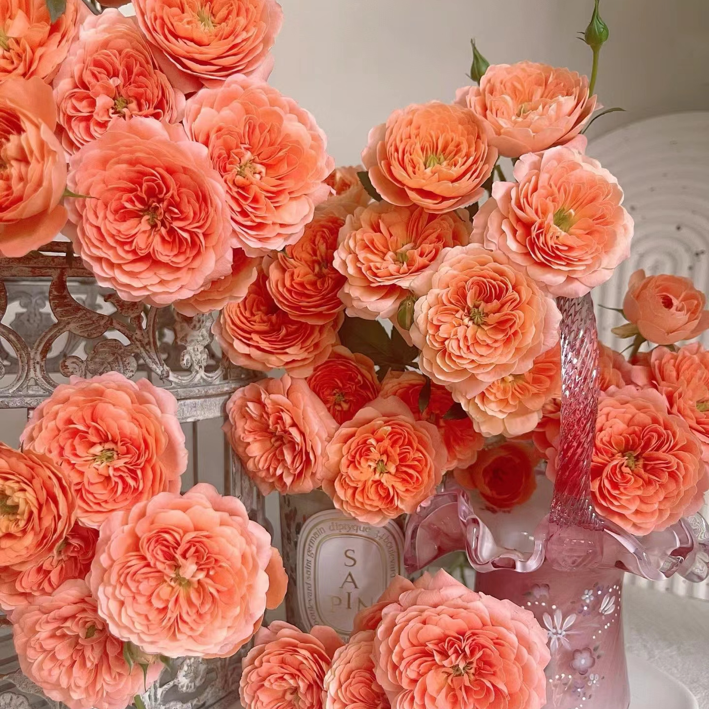 10枝【杏色果汁】多头玫瑰   任意两单顺丰冷链包邮