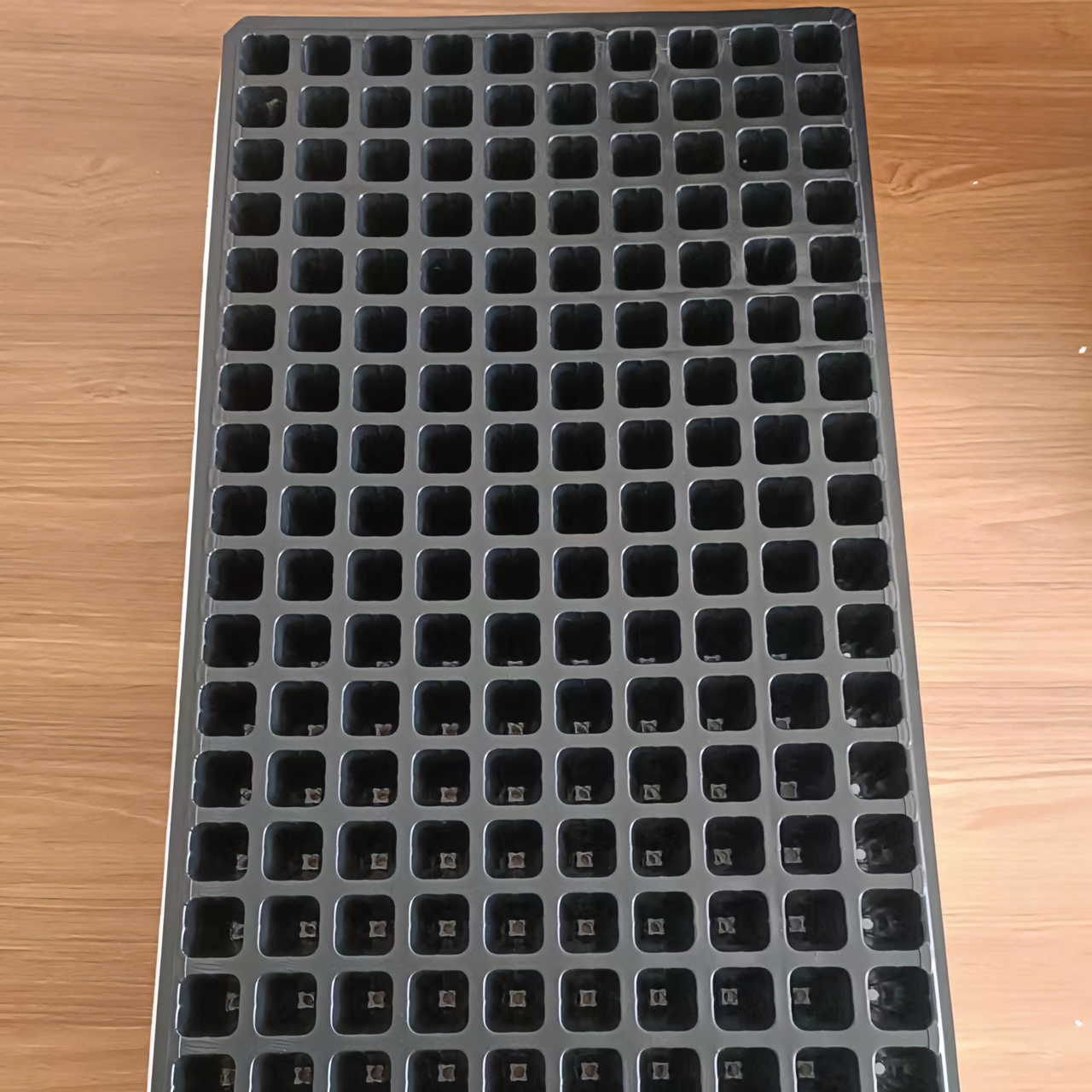 泡沫漂浮盘内盘【媛】