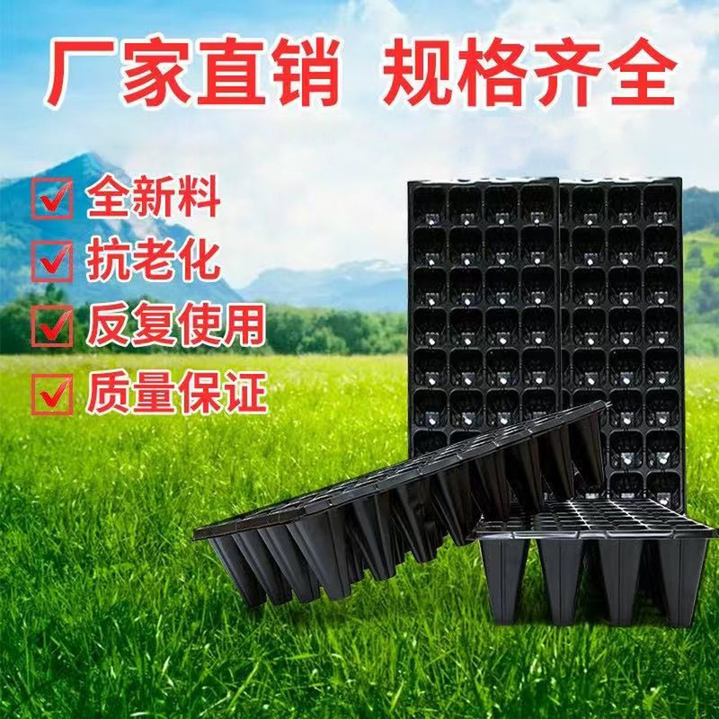 标准规格育苗穴盘【倪】