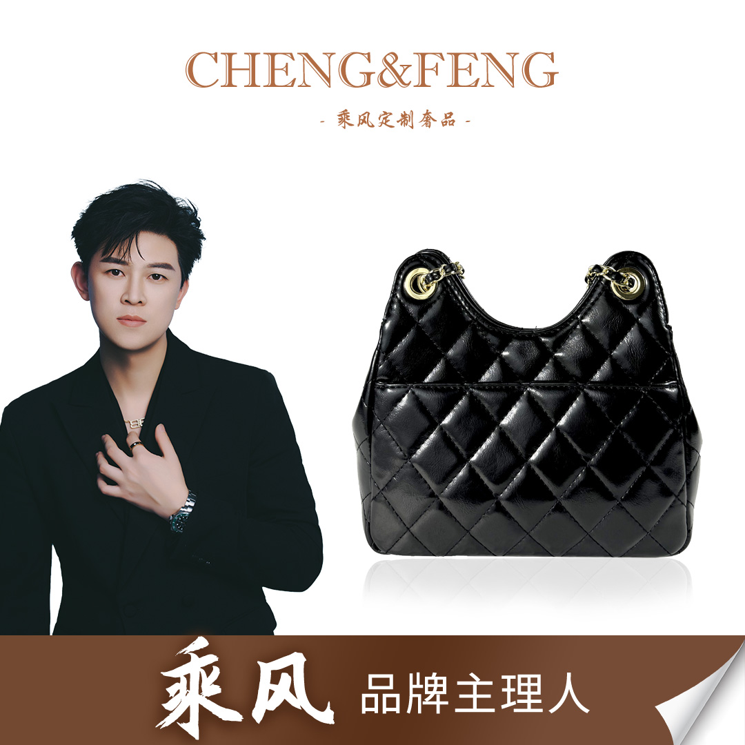 【天猫精灵】小众设计时尚链条单肩包