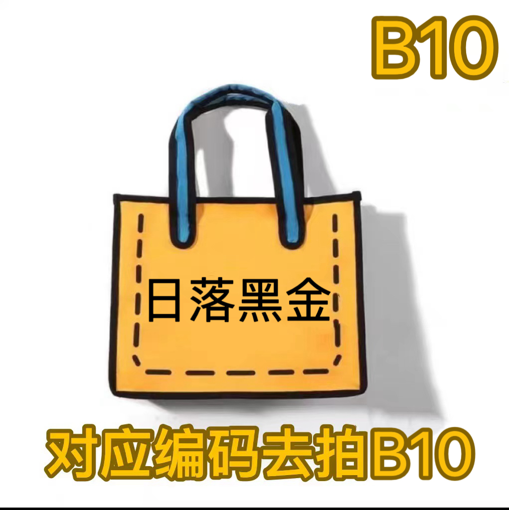 B10日落系列黑金新款百搭高级感手提单肩斜挎小方包