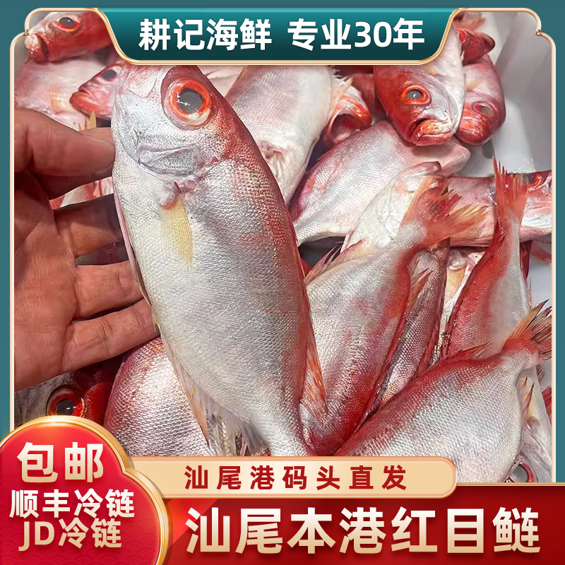 红目鲢(大眼鸡) 天然海鲜 汕尾港码头原产地直发冷链包邮包新鲜