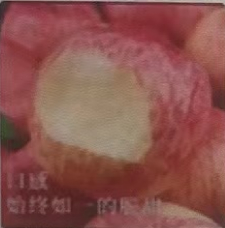苹果苹果苹果苹果苹果