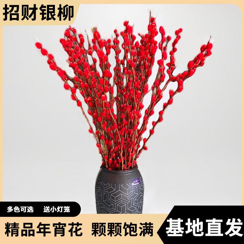 银柳真花鲜枝抱抱福桶喜庆花卉盆栽室内红色干花水培植物雪柳干枝