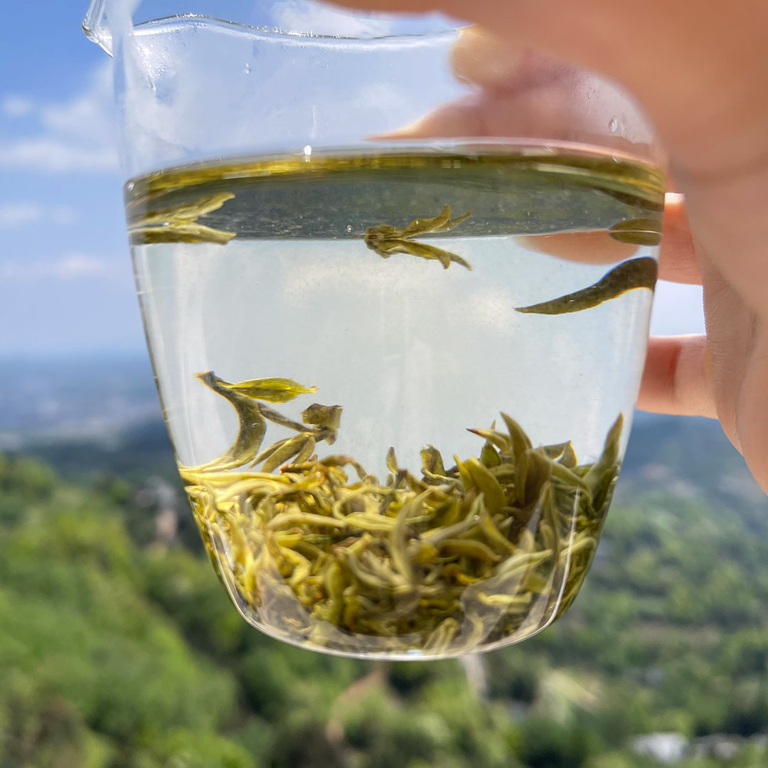 2025年新绿茶雅安全手工蒙顶山上群体种老川茶树嫩芽做的蒙顶甘露