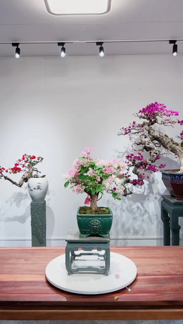 【闪购商品】章红樱