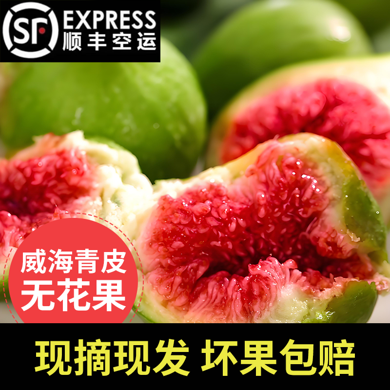 【顺丰包邮】威海青皮无花果现摘现发新鲜无花果孕妇水果当季新果