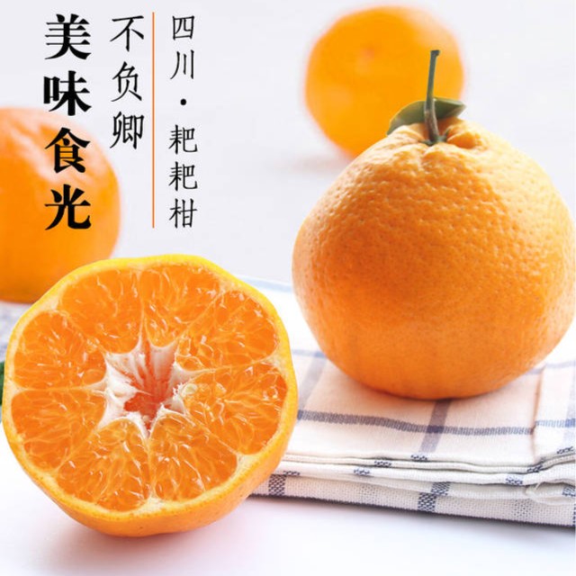 春见耙耙柑