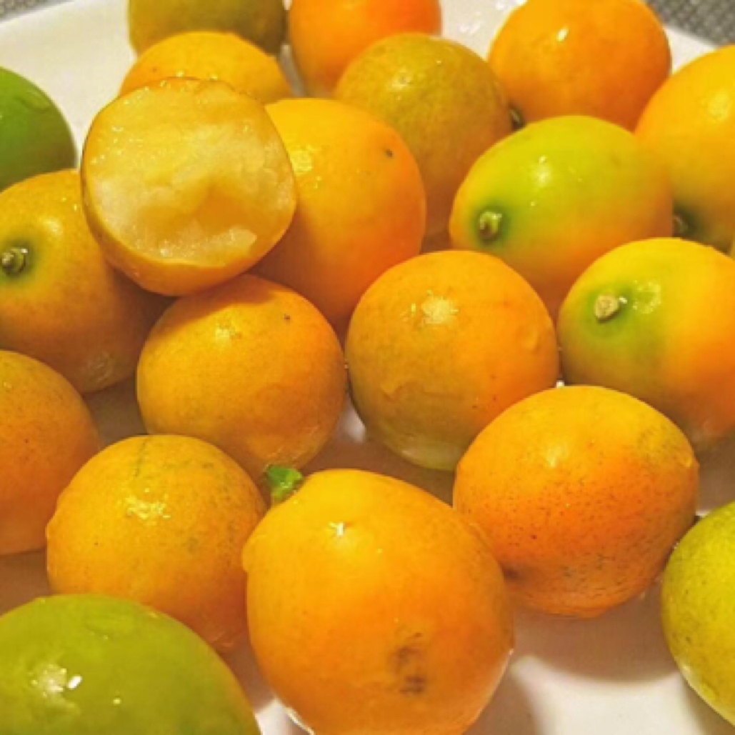 【贝壳鲜果】脆蜜金柑上海市