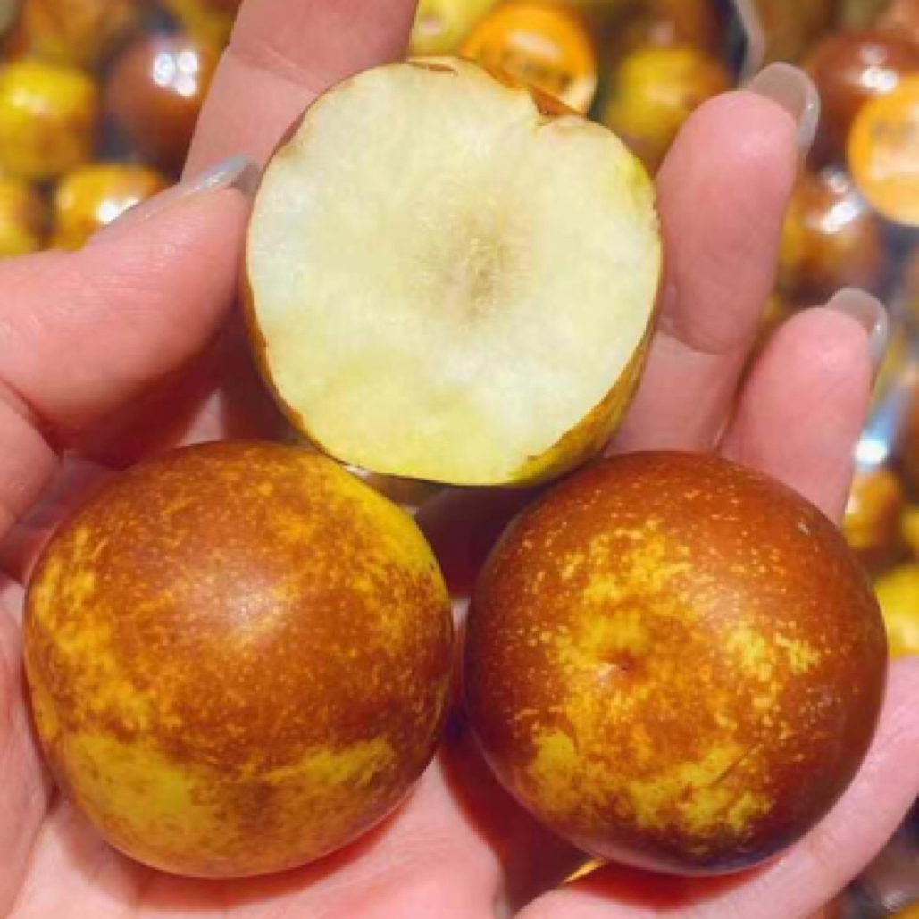 【贝壳鲜果】大荔冬枣[250克]