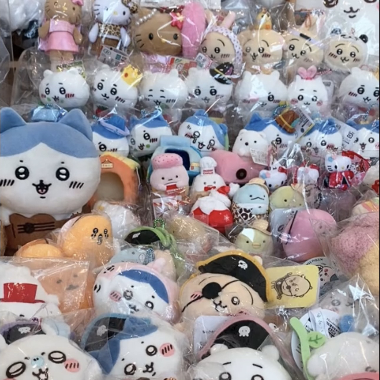 直播毛绒挂件和主播沟通拍