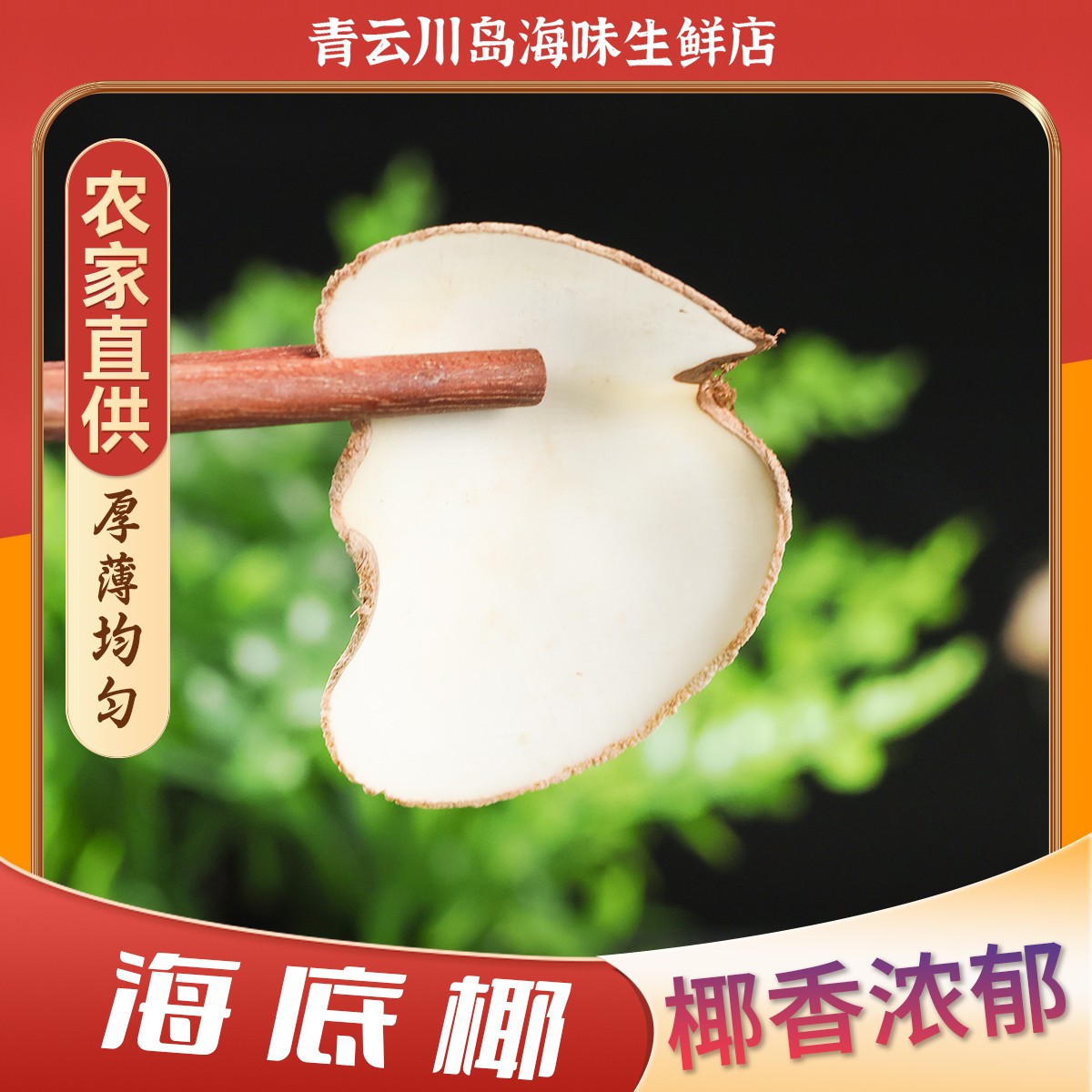 精选配料海底椰片浓香干货煲汤材料100g优质原产鲜甜好喝