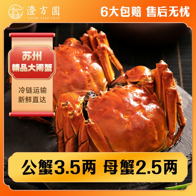 【活蟹】3.3-3.7两公蟹+2.3-2.7两母蟹组合装苏州精品大闸蟹  澄方圆大闸蟹礼盒装鲜活顺丰