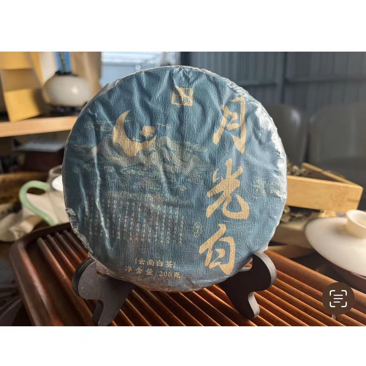 2025年永德大雪山核桃箐明前白茶月光白月光美人豪香足甜水强
