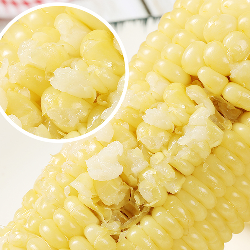 【试吃5根】正宗东北白糯玉米12大棒彩袋装7.5斤一大箱