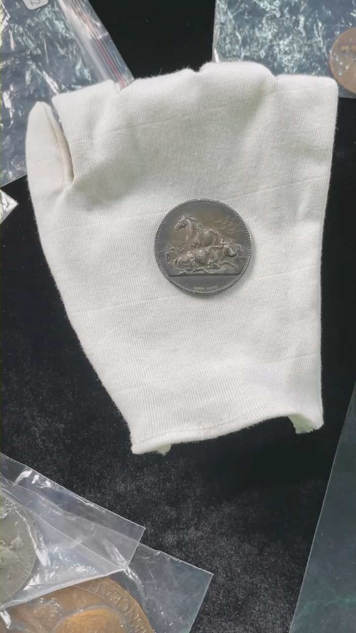 【闪购商品】银币牛马