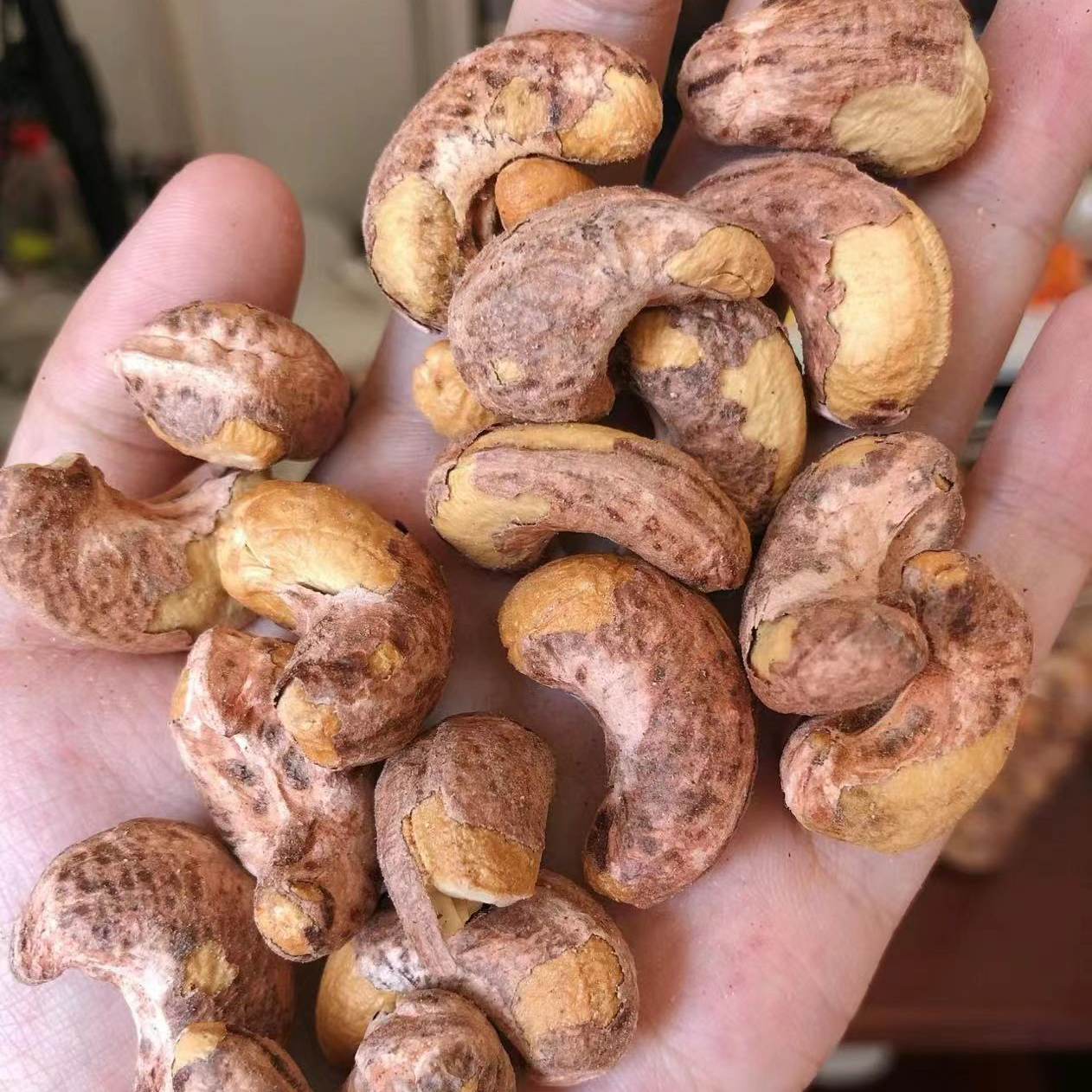 新疆正宗紫皮大腰果