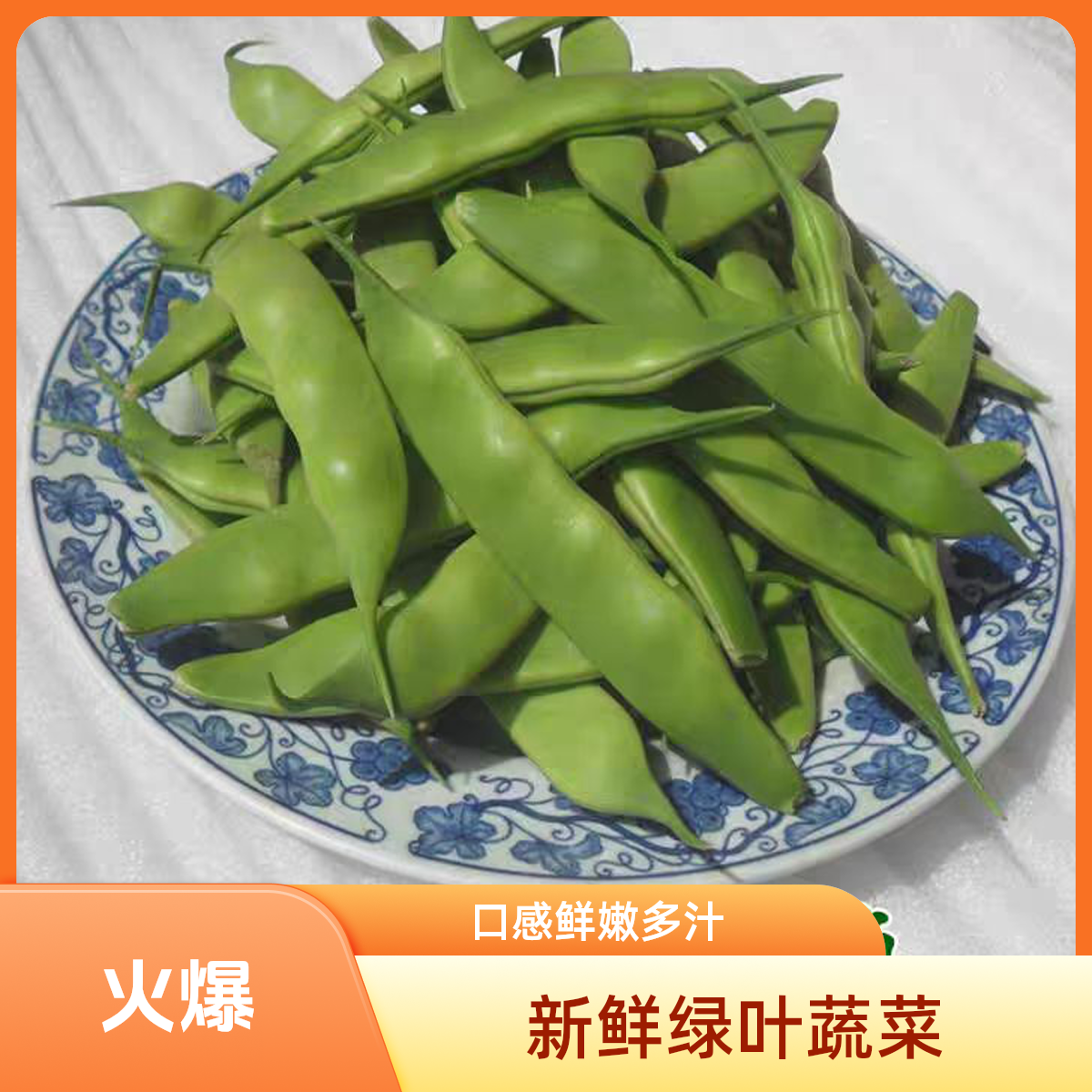 东北农家种植九月青油豆角新鲜采摘3斤/5斤