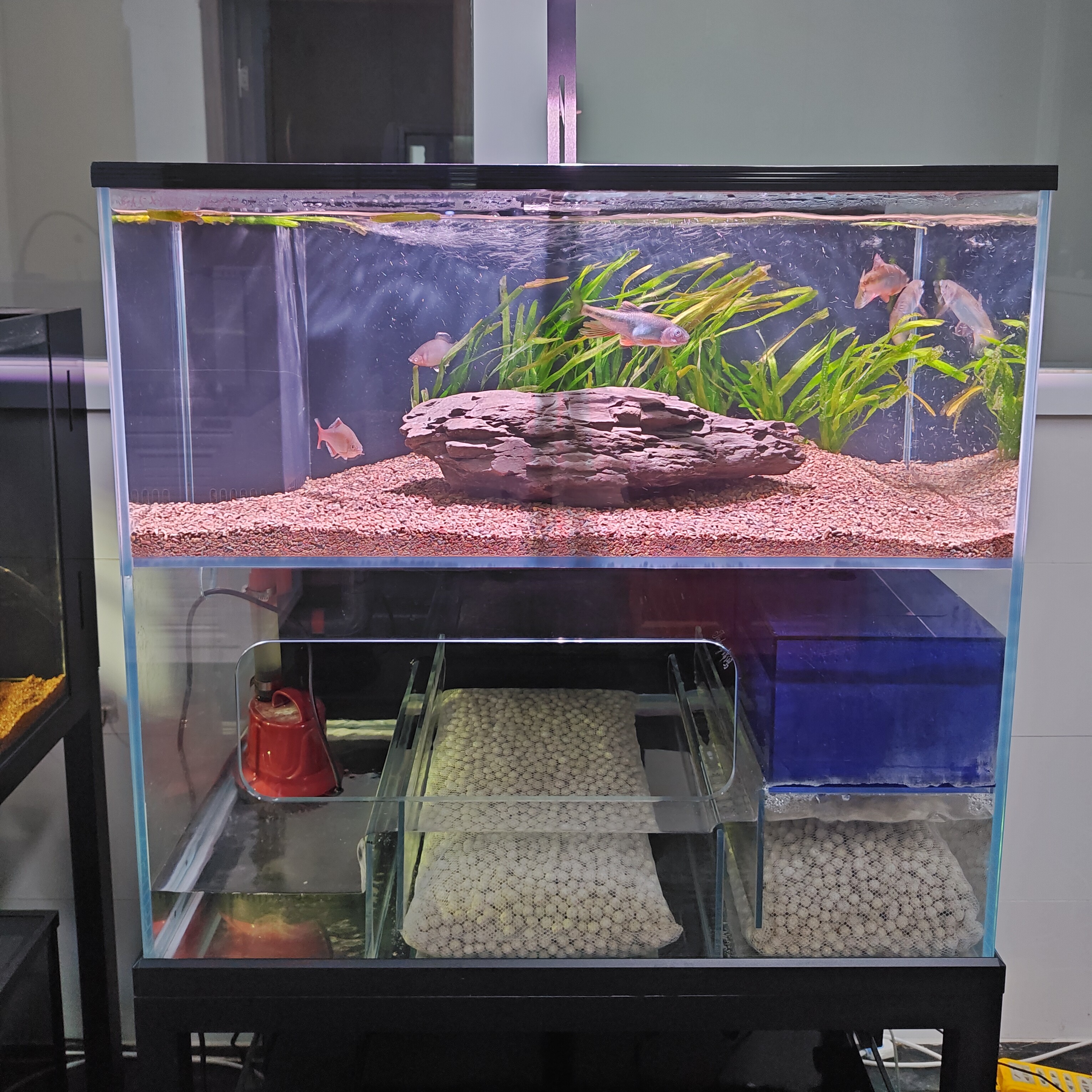 超白底滤一体缸（80*40*75）