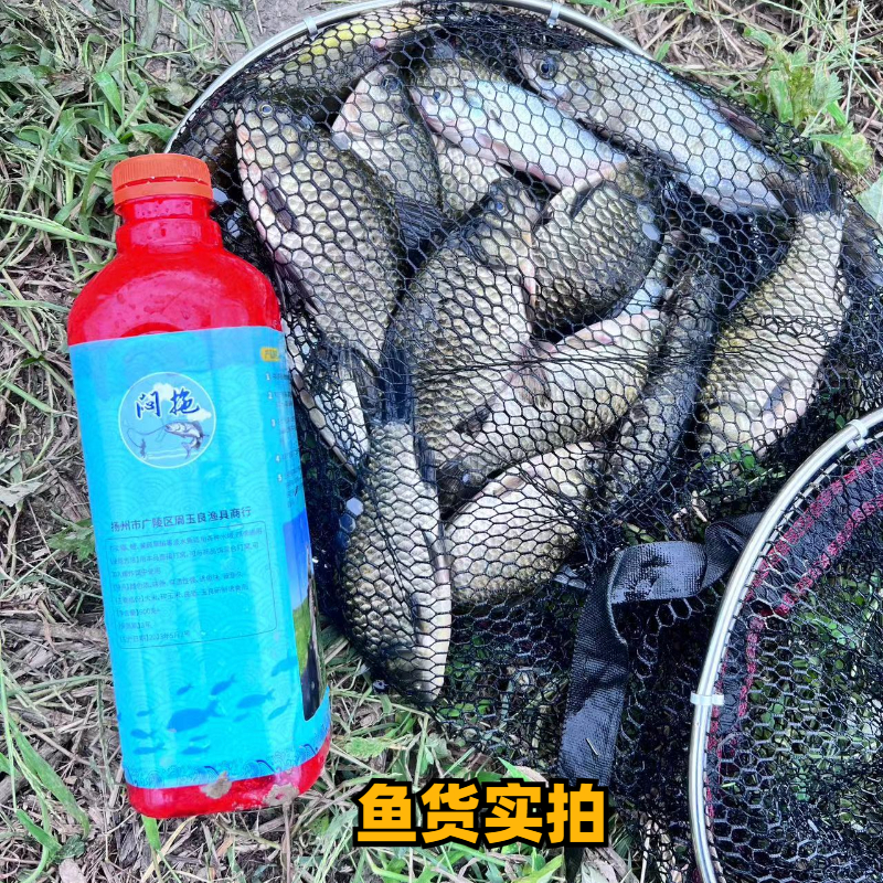 闷拖窝料酒米红色四季通用味型加重野钓低温效果更佳发窝快留鱼久