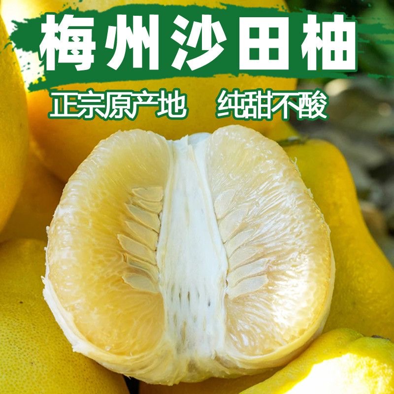【纯甜无酸】正宗梅州沙田柚梅县新鲜当季水果现摘现发