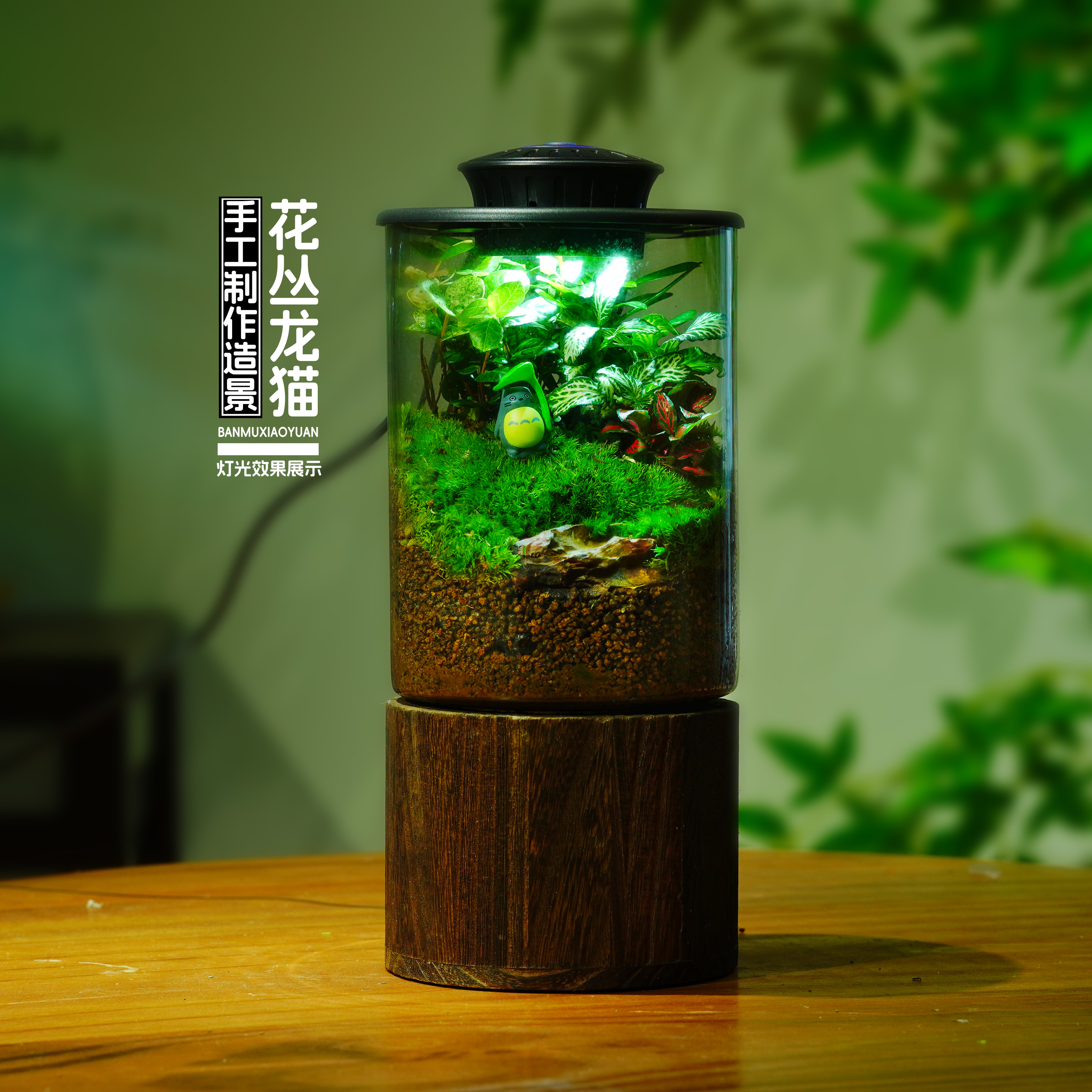 苔藓微景观雨林缸生态瓶成品绿植盆栽懒人植物摆件微景观生态缸