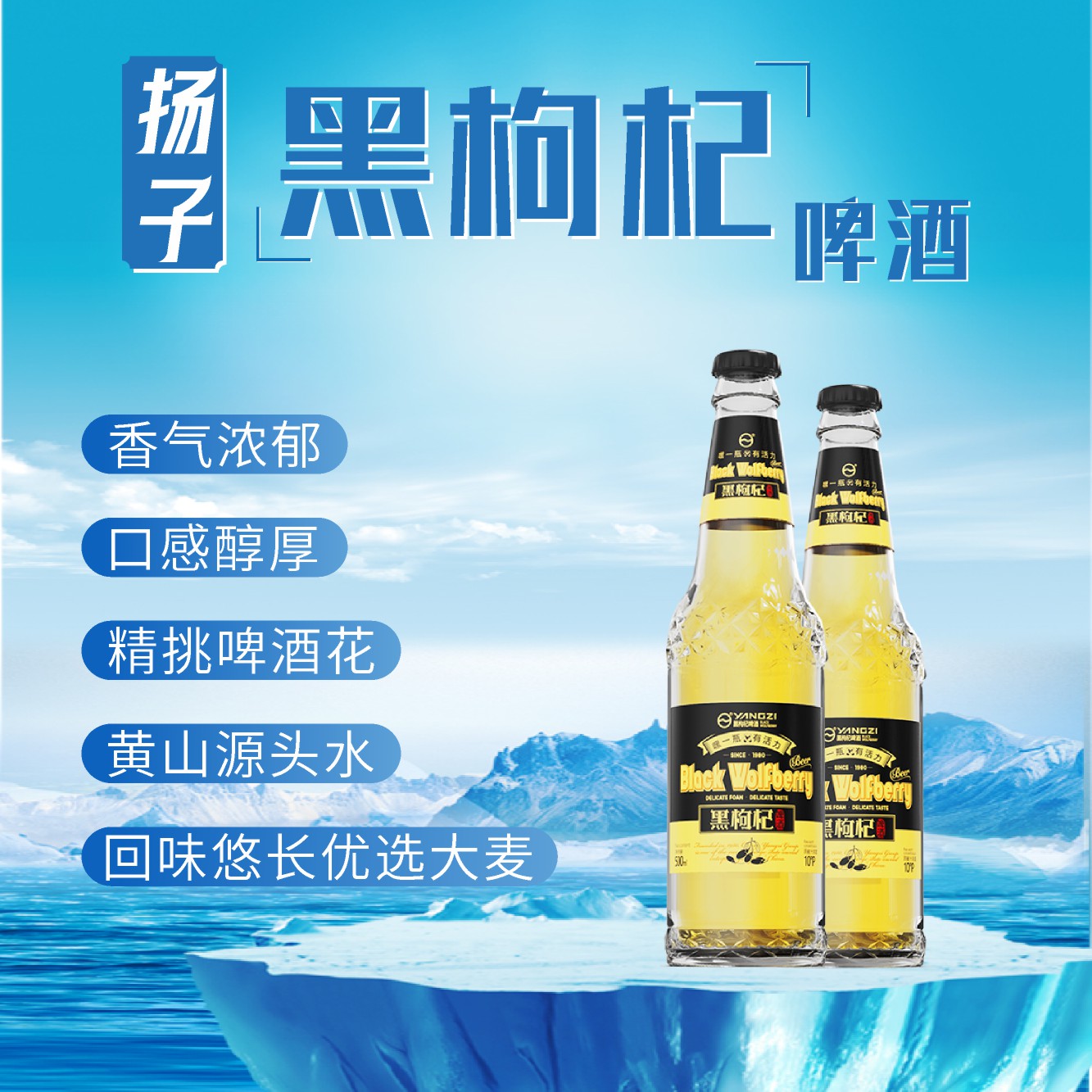 扬子 黑枸杞啤酒 玻璃瓶 500ml*12